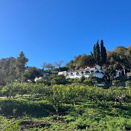 Finca Los Arcos Del Laurel Moya  Esterno foto