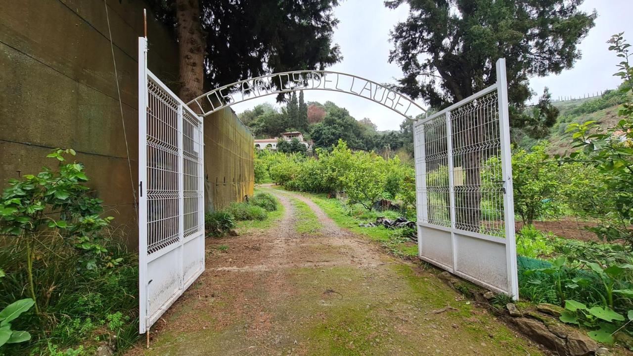 Finca Los Arcos Del Laurel Moya  Esterno foto