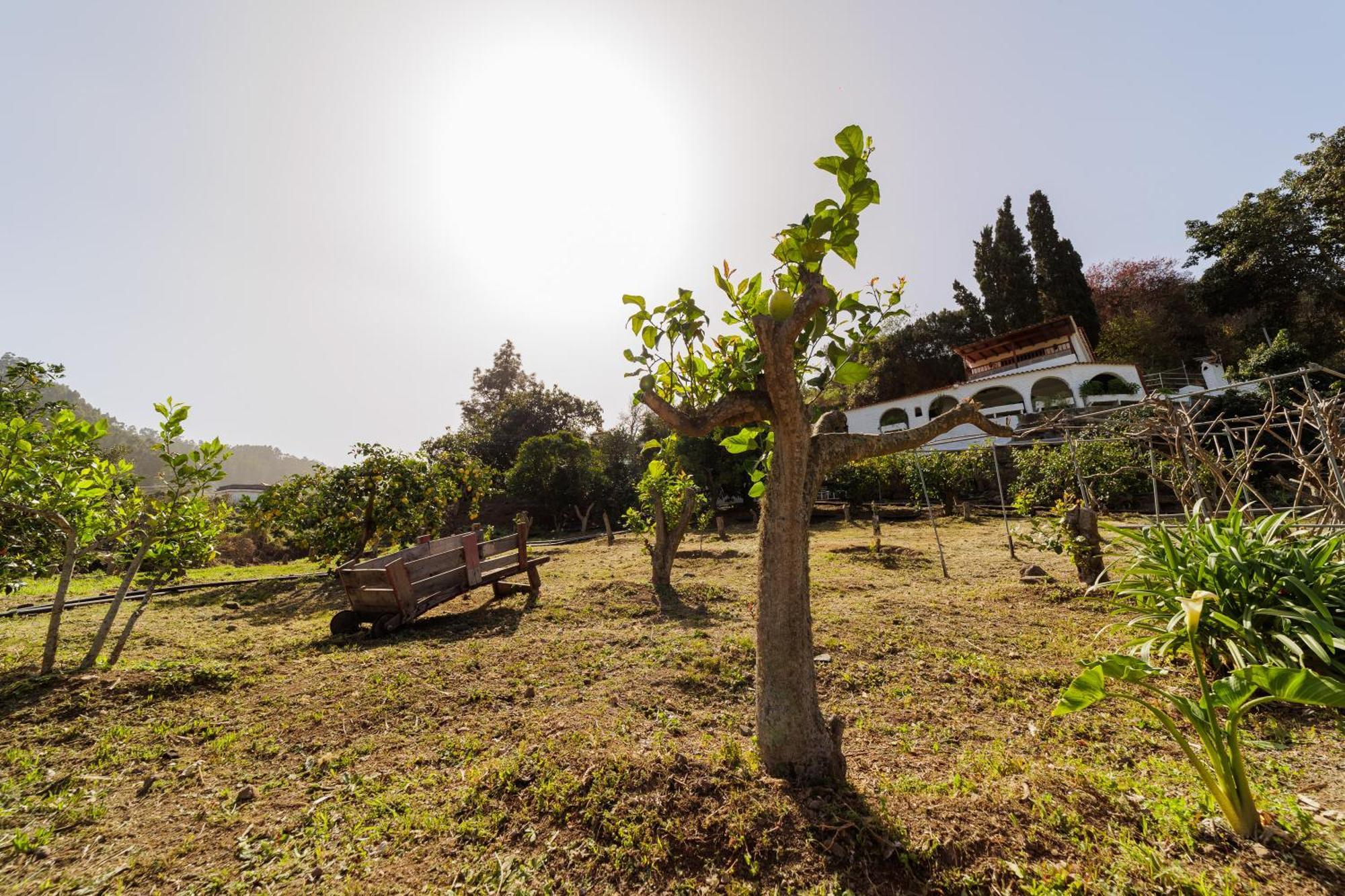 Finca Los Arcos Del Laurel Moya  Esterno foto
