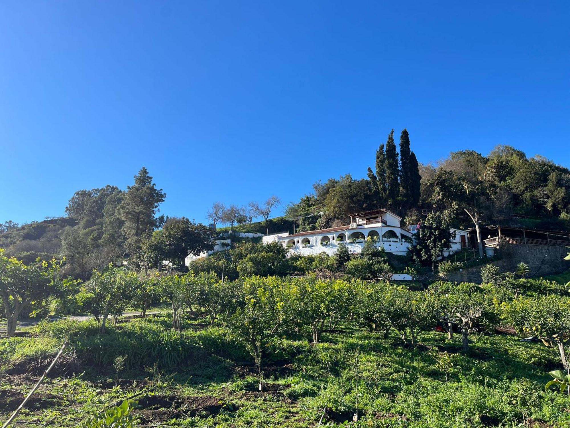 Finca Los Arcos Del Laurel Moya  Esterno foto