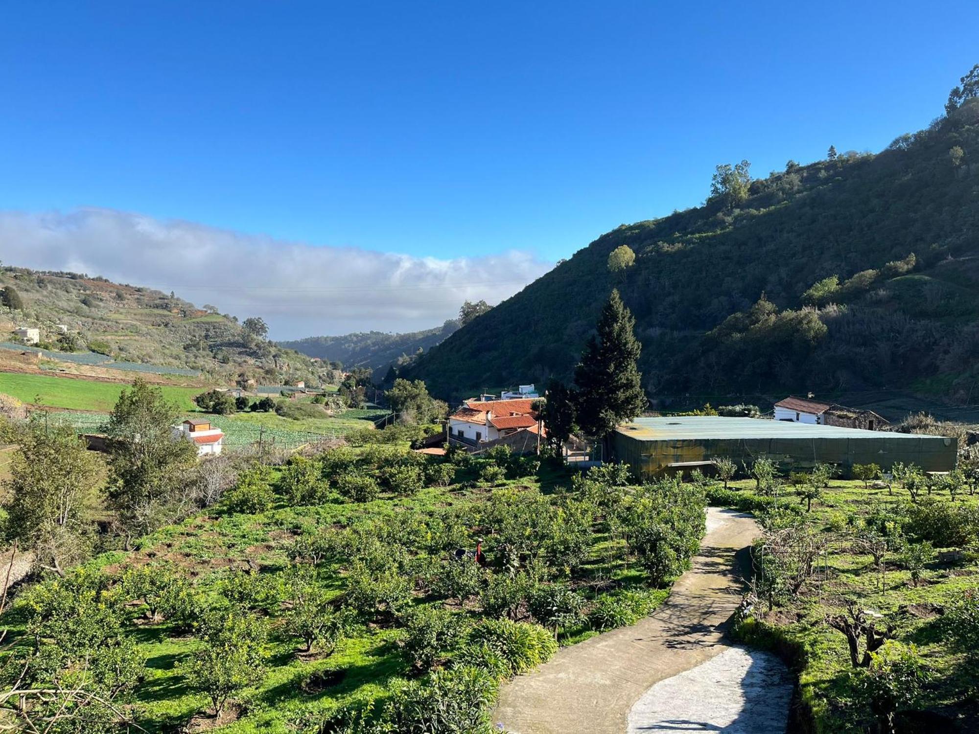 Finca Los Arcos Del Laurel Moya  Esterno foto