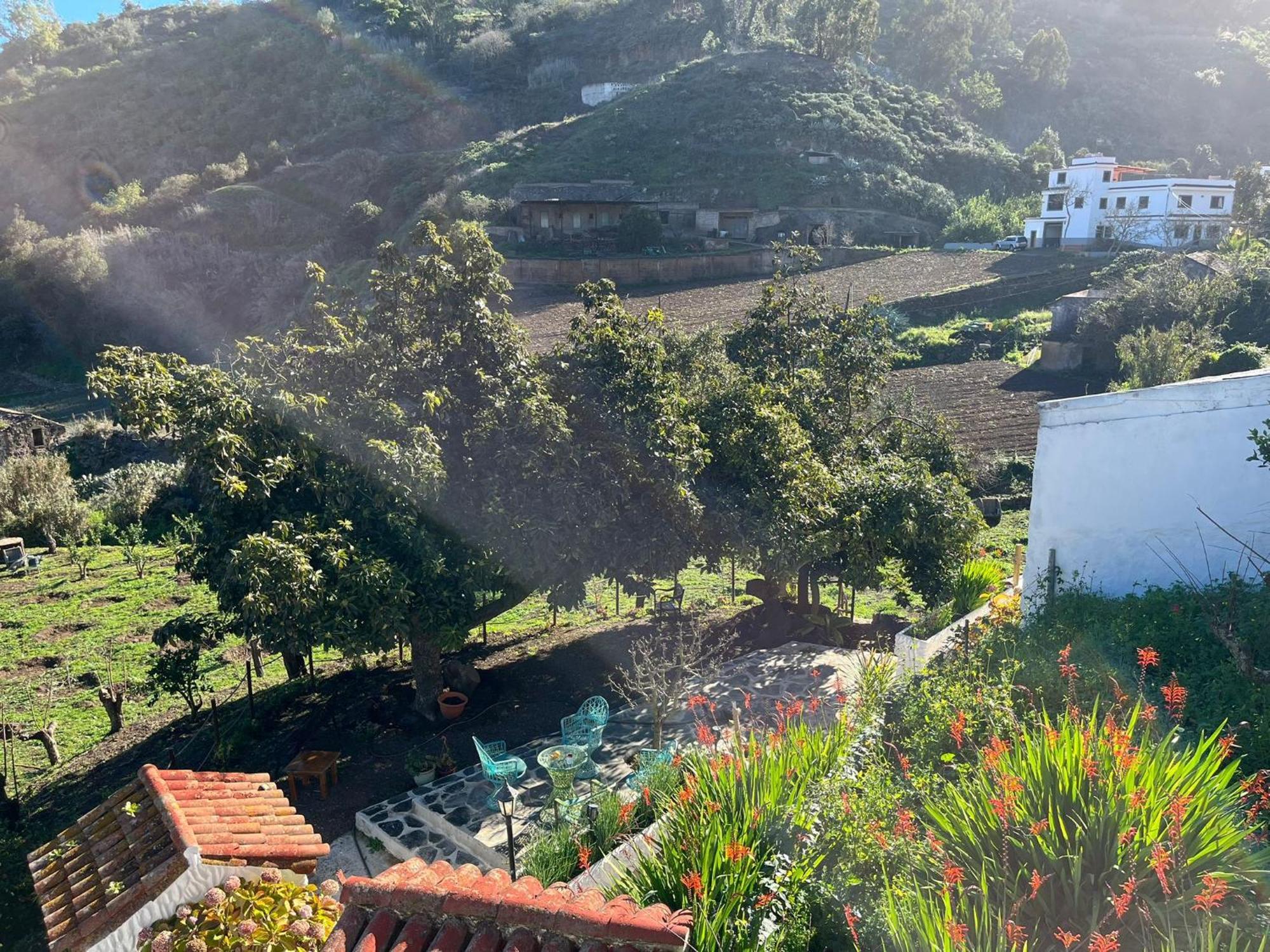 Finca Los Arcos Del Laurel Moya  Esterno foto